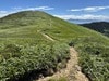 たおやかで爽快な草原風景が待つ、日本百名山「巻機山」へ！  長い登りの先で豪雪地ならではの「池塘」と「高山植物」に癒される「登山レポ」