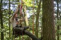 「ロープワークでの木登り」体験！ 先生と道具のおかげ？ 意外と簡単でした “森と本気で遊ぶ”2日間【後編】長野県伊那市の画像009