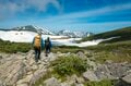 【登山】「雪渓にロープありません」人気ルートだけど要注意！  アイゼンとピッケルを用意して  北アルプス 白馬乗鞍岳／白馬岳 長野県｜2026年の画像001