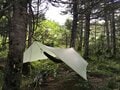 【ハンモックの夏を快適に】虫対策の知識あれこれ＜場所探し編＞【ハンモックハイキング -基礎と応用- vol.13】の画像001