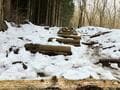 「富士山」が近い！ 「長者ヶ岳・天子ヶ岳」縦走ハイキング！ 下山後は名所「白糸の滝」＆「ゆるキャン△」ご当地グルメで締め「現地レポ」の画像001
