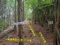 低山でも「360度パノラマ」絶景！  兵庫県丹波市「石金山」紅葉の名所「小新屋観音」から、清涼感あふれる「源流＆青もみじ」2時間ハイキングの画像006