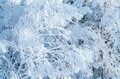 絶景スポットがいっぱい！ 雪景色を満喫しながらグルメにも舌鼓「滑る以外の楽しみにも溢れている志賀高原」 長野県山ノ内町 2024年の画像003