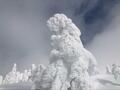 ゴンドラで観に行ける高さ5ｍの「スノーモンスター」！「日本三大樹氷」秋田県・森吉山で出会える絶景とは？の画像002