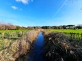 イタリア在住ライターが2千年前の港跡を歩く！  ローマ近郊・日帰り遺跡ハイキング【ブーツの国の街角で vol.21「フィウミチーノ」イタリア／ラツィオ州】の画像001