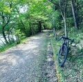 「太イボタイヤ」の異様な姿！  オンからオフまで「いいとこ取り」グラベルロードバイクが「アウトドア初心者向け」である理由とは？の画像003