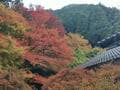 紅葉の絶景「トンネル＆カーペット」あり！ 見ごろは12月上旬まで「丹波紅葉三山」ほどよい秘境「兵庫の穴場3寺院」レポートの画像002