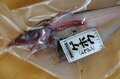 【きまぐれクックにも登場】「これ、ホントに食べられる？」めっちゃレアな人面深海魚「トウジン」のお味はいかに？の画像002