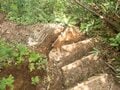 「新ルート通行可能です 」紅葉シーズン直前！ 「秋山は特に人気！」日本百名山・雨飾山の登山道整備  2022年9月【妙高戸隠連山国立公園】の画像005