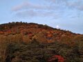 【2024年10月 第4週】今週末の紅葉の見ごろは？  名所＆人気スポットの最新情報をお届け「WEEKLY紅葉ニュース」の画像003