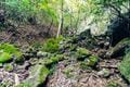低標高で初心者にもおすすめ！  和歌山県の難読山「章魚頭婆山・嶽の森山・重畳山」の「特長と珍スポット」の画像002