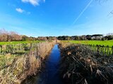 イタリア在住ライターが2千年前の港跡を歩く！  ローマ近郊・日帰り遺跡ハイキング【ブーツの国の街角で vol.21「フィウミチーノ」イタリア／ラツィオ州】