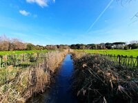 イタリア在住ライターが2千年前の港跡を歩く！  ローマ近郊・日帰り遺跡ハイキング【ブーツの国の街角で vol.21「フィウミチーノ」イタリア／ラツィオ州】
