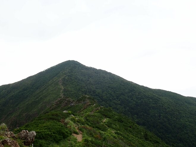 【北海道の山】花の名山として知られる日高「アポイ岳」は、夏の登山も魅力的！ 2025年・北海道の画像007