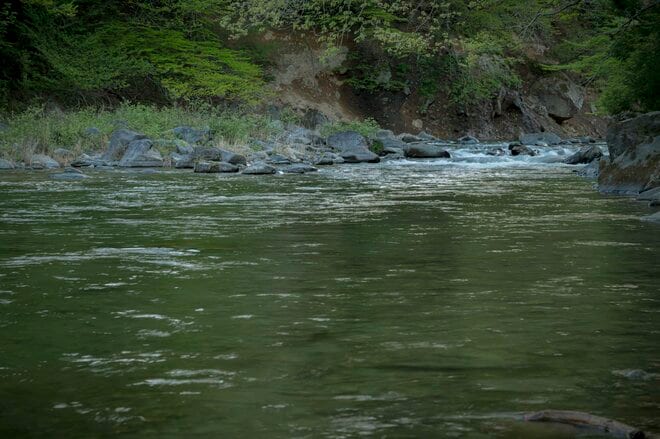 【渓流釣り】新緑の季節、美しい渓は水生昆虫たちのパラダイスだった！  “フライフィッシング”  栃木県｜2026年の画像005