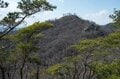 【首都圏近郊】春の週末ハイキングおすすめルート「足利アルプス」は標高の割に高度感＆歩き応え＆夜景が抜群！の画像009
