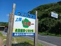 【世界自然遺産・屋久島】 屋久島をレンタカーで一周するドライブ旅「千尋の滝・大川の滝・ガジュマル・西部林道」を一日でめぐる！の画像019