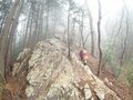 明るく輝くトレイルを歩こう！ ミツマタの花咲く焼森山と鶏足山へ【お花見ハイキング】栃木県・茨城県の画像003