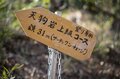 【首都圏近郊】春の週末ハイキングおすすめルート「足利アルプス」は標高の割に高度感＆歩き応え＆夜景が抜群！の画像011