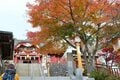 ”紅葉シーズン最終盤” お見逃しなく！「御岳山」の紅葉事情＆スポット最新レポートの画像002