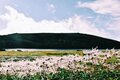 一粒で二度おいしい！ 日帰り温泉登山【癒し編】＜小蓮華山＞の画像007