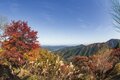 “秋山”最強コンボ【紅葉と渓谷トレッキング・最終回】都心からのアクセス抜群！ "おいぬ様"が守り神「御岳山」＆東京の秘境「ロックガーデン」の画像002