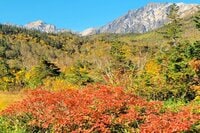 【2024年10月 第1週】今週末の紅葉見るならどこ？  名所＆人気スポットの最新情報をお届け「WEEKLY紅葉ニュース」