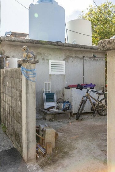 慶良間諸島で沖縄在住写真家が遭遇したネコとシカの珍行動とは？【琉球