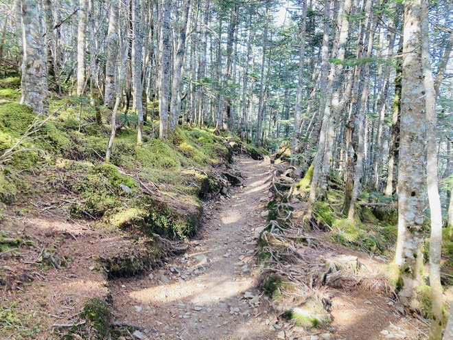 11月のうちに登りたい！  日本百名山「金峰山」 大弛峠からの“最短コース”   可愛すぎるオコジョとの遭遇も「10月下旬・登山レポ」の画像006