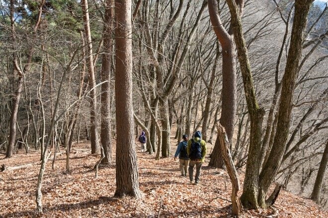 【首都圏近郊おすすめ低山ハイキングコース】2025年登り初めは武田家の歴史と観音様が待つ「要害山縦走コース」への画像012