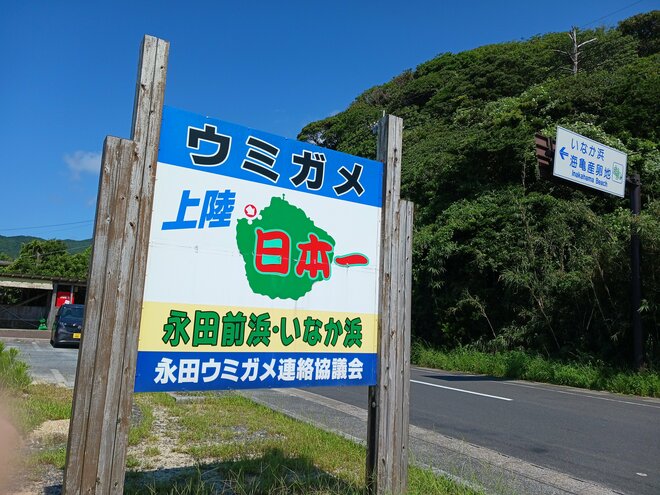 【世界自然遺産・屋久島】 屋久島をレンタカーで一周するドライブ旅「千尋の滝・大川の滝・ガジュマル・西部林道」を一日でめぐる！の画像019