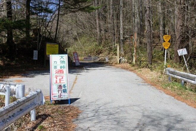 【まだ間に合う山のお花見】車でアクセスできる遅い春「山梨・奥秩父エリア」の開花状況（2026年4月）の画像009