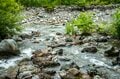 雨と呼応する渓流釣り！  反転流を狙ってフライフィッシング！ 「岩陰から飛び出した巨大な黒い影」 2024年 長野県白馬村の画像002