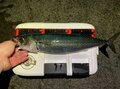 夜通し釣っても大丈夫？  釣りアウトドアライターが教える「冬の夜釣り」のための「究極の防寒ファッション」と「意外な釣果」とは？の画像004