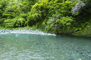 ギョギョギョ！「海からすぐの渓流にイワナやヤマメが泳ぐ」 海抜0mから始まる【渓流釣り】体験