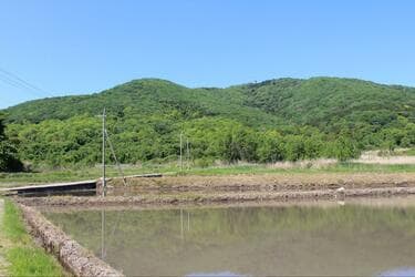 小田山麓を歩く bBfydpRcV36EDgQFigwX.jpg?w=700