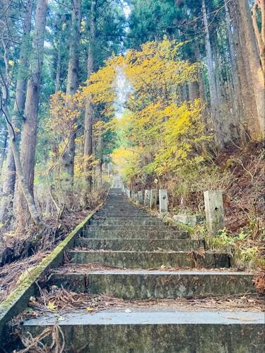 Stair Rail Backcountry スノーボードジャケット M Stair Rail Backcountry スノーボードジャケット M（Back