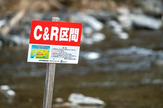 【渓流釣り】沈めて浮かせて……「そっぽを向かれても無視されても、夢中で誘い続けたフライフィッシング！」 神流川・群馬県上野村｜2026年の画像002