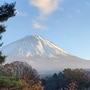 鈴木 亜美