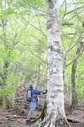 【首都圏近郊ハイキング】5月でもまだ花見ができる山「西丹沢・檜洞丸」への画像004