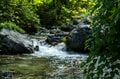 【渓流釣り】盛夏、ベスコンになった飛騨の渓へ 「蜘蛛の巣だらけだけど、尺イワナが連発！」 岐阜県・2025年の画像004