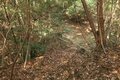 出丸の大切岸と圧巻の畝状竪堀群！  約4時間にわたる実地踏査でみた防衛遺構とは　石見国・松山城〈後編〉（島根県江津市）【戦国の山城を攻める vol.04】の画像012