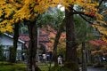 秋の京都は観光だけではもったいない！　紅葉と寺社と山をまるっと楽しむ！【2021年・秋】の画像018