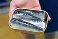 生の魚より栄養豊富！？  缶詰メーカーが「原料の鮮度」にこだわるワケとは【缶詰博士の缶たん”CAN”P料理 vol.55】の画像005