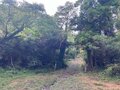 【首都圏近郊】1時間で登れるとは思えない絶景！  房総のマッターホルンこと「伊予ヶ岳」は今からのシーズンがおすすめの画像026