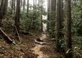 保存版！ 経験者が教える「雨の登山」で起きる「正直しんどい10のできごと」実体験リポートの画像001