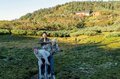 光岳小屋に色を与えてくれる「個性豊かな仲間達」を紹介します【わたし、山小屋はじめます vol.52】の画像004