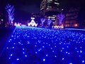 北の都の夜を彩る「さっぽろホワイトイルミネーション」開催中！  期間延長も決まって2022年2月の「さっぽろ雪まつり」と夢のコラボに期待！  北海道の冬の風物詩をダブルで楽しめる！！の画像001