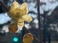 【無理なスケジュールを組んでいませんか？】夜のうちに山へ出かけて “まさか” の事故に…リハビリと登山再開までの約半年間でわかったこと「インタビュー」の画像004