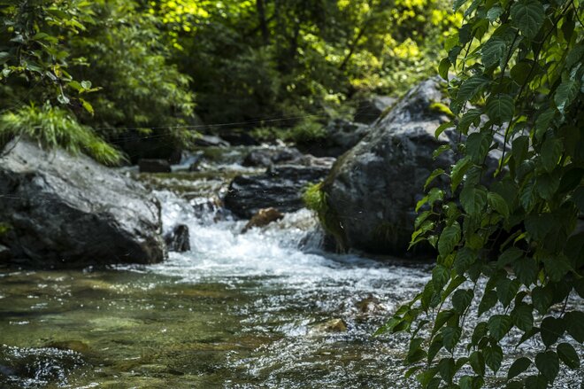 【渓流釣り】盛夏、ベスコンになった飛騨の渓へ 「蜘蛛の巣だらけだけど、尺イワナが連発！」 岐阜県・2025年の画像004